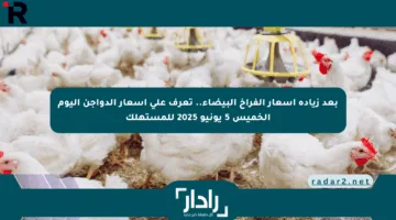 بعد زيادة أسعار الفراخ البيضاء.. تعرف على أسعار الدواجن اليوم الخميس 5 يونيو 2025 للمستهلك